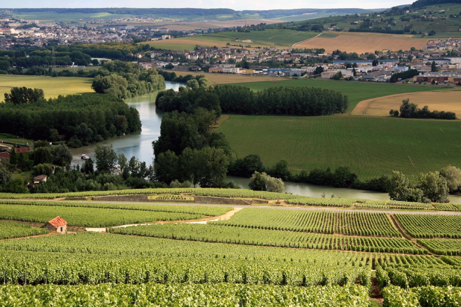 Wijngaarden bij Hautvillers met de Marne en Épernay in de verte